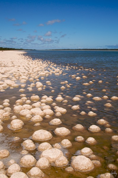 AustraliaPerth 10  081